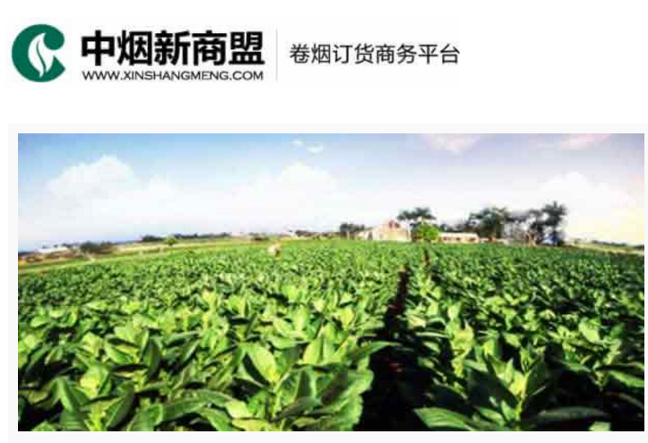 中烟新商盟卷烟订货商务平台-盈易彩票