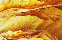 盈易彩票烟草行业解决方案V6-盈易彩票