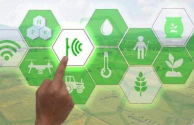 盈易彩票海岳智粮·粮企云产品解决方案