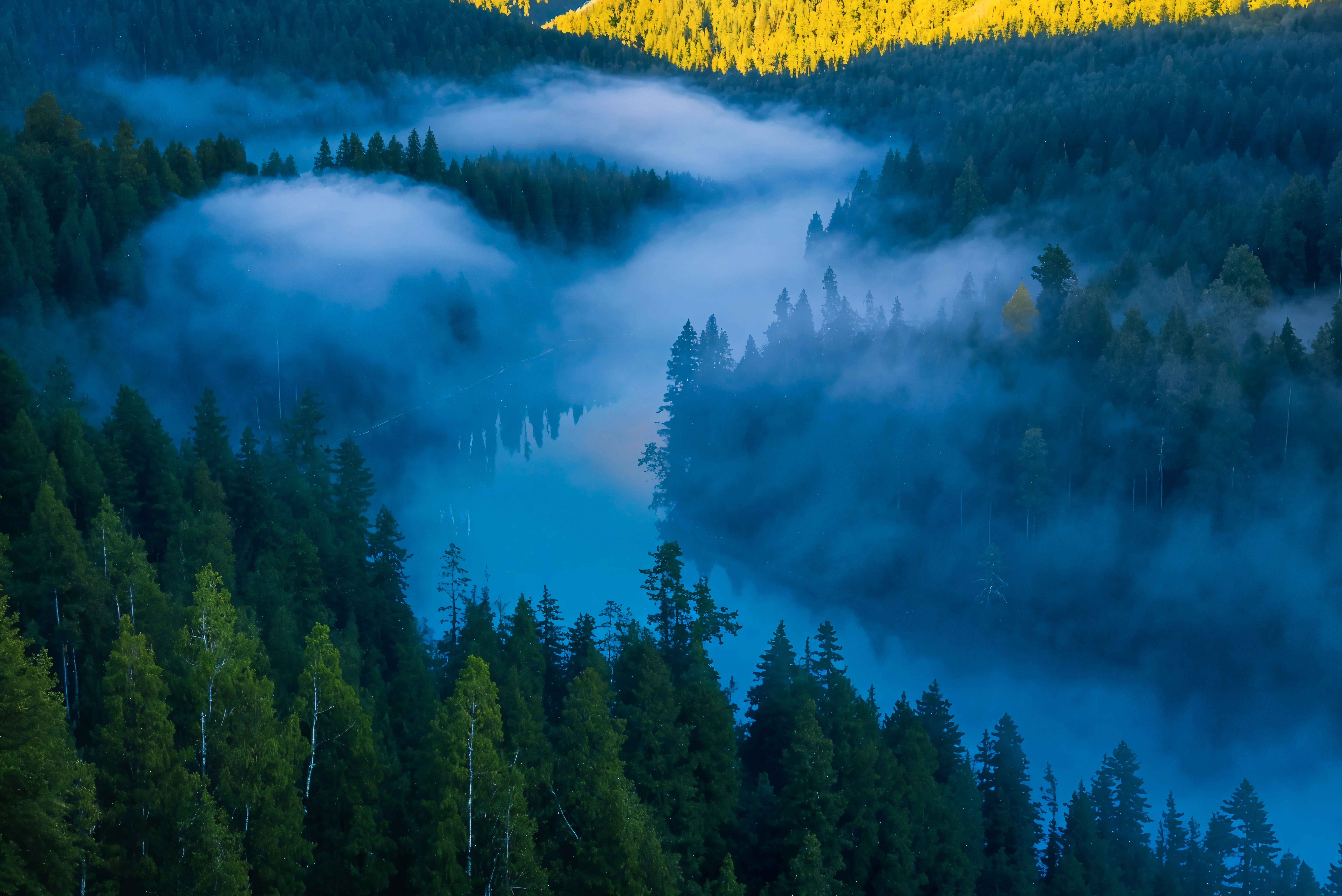 盈易彩票林业大数据及行业应用解决方案